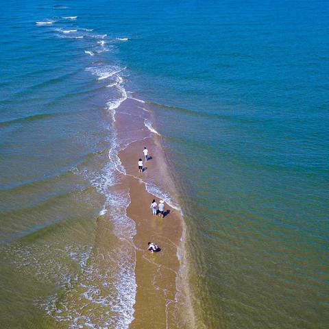 梦幻模拟战手游潮汐精灵深度解析：兵种属性与技能全揭秘