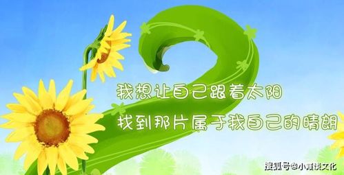 哲理游戏下载必备！十大精选必玩游戏，深度体验人生智慧