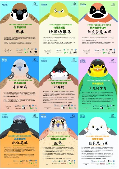 热门鸟游戏盘点：精选十大趣味鸟类游戏推荐