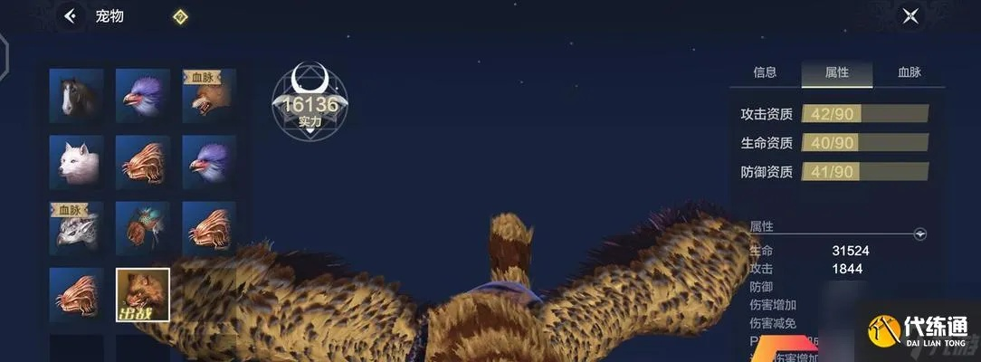 翠鹞分布揭秘：探索妄想山海中的神秘翠鹞栖息地