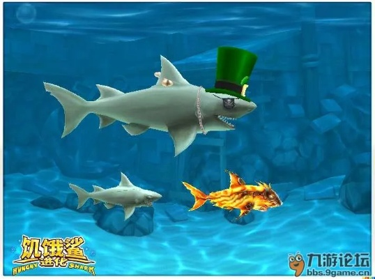 新手鲨鱼快速升级攻略：解锁高性价比装备必备技巧