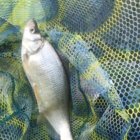 钓鱼游戏盘点：热门玩法推荐，解锁最佳游戏体验