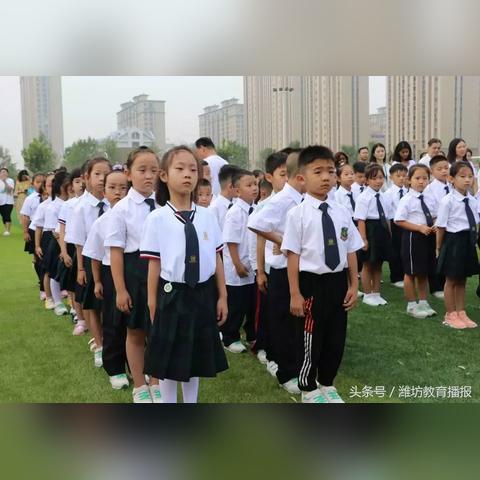 江湖拳脚武学入门必看：学子修炼全攻略揭秘