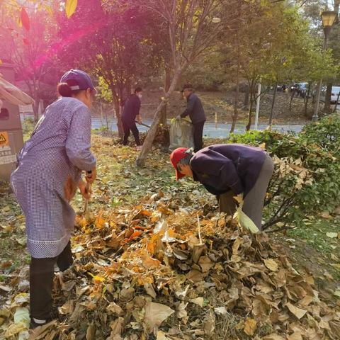 曙光英雄桑榆实战技巧解析：掌握制胜之道，轻松上分攻略