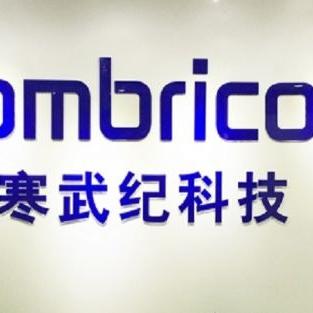 曙光英雄阿里巴巴实战技巧解析：深度攻略助你轻松上分