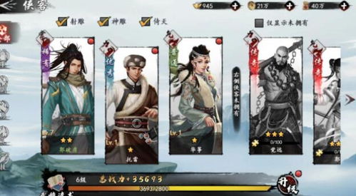 新射雕群侠传铁血丹心升级技巧，快速突破境界秘籍大公开