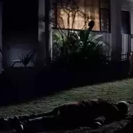 最强蜗牛特工查尔斯曼森选将攻略：揭秘高效阵容搭配技巧