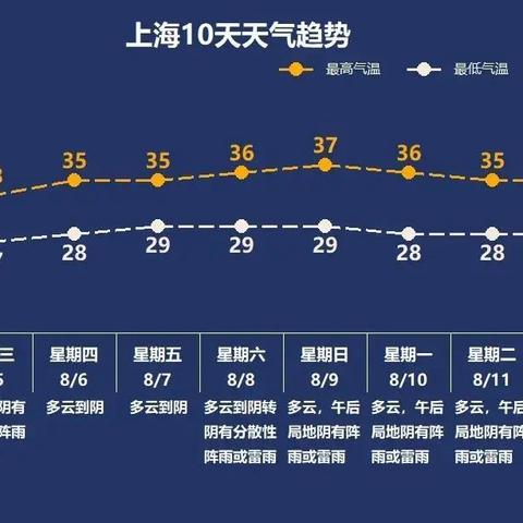 《这周日有空吗》第37关通关秘籍：4-7关攻略详解，轻松解锁高分技巧