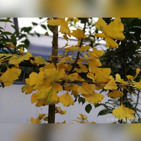 塔内20层通关必看！独家技巧助你轻松再刷挑战新高度