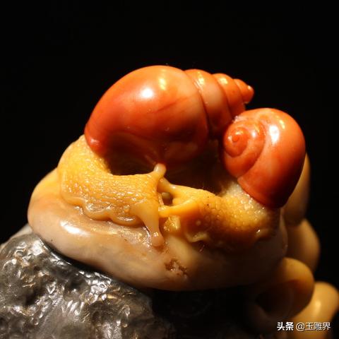 最强蜗牛蘑菇合成攻略：解锁技巧揭秘，轻松提升战斗力