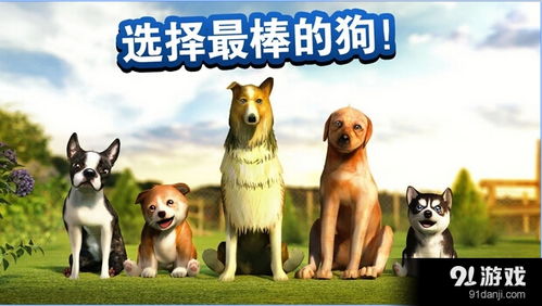 十大热门狗游戏盘点：揭秘最值得尝试的趣味宠物游戏推荐