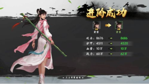 新射雕群侠传铁血丹心小昭侠客技能解析，深度攻略助你轻松升级