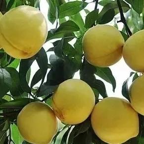 爱情游戏盘点：揭秘十大热门浪漫佳作，畅享甜蜜游戏时光