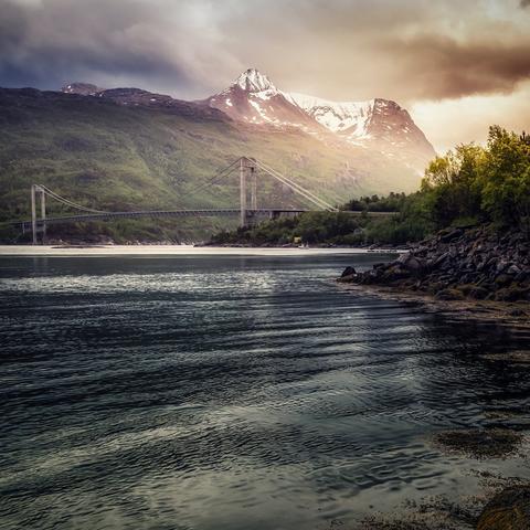 自然游戏盘点：精选好玩游戏推荐，体验独特自然魅力