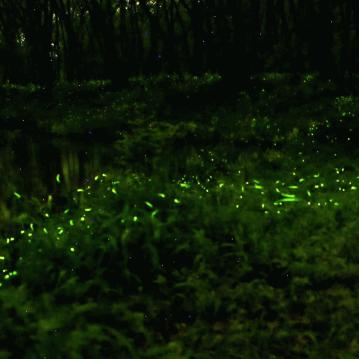 高效攻略！元素方尖历练值快速提升技巧大揭秘