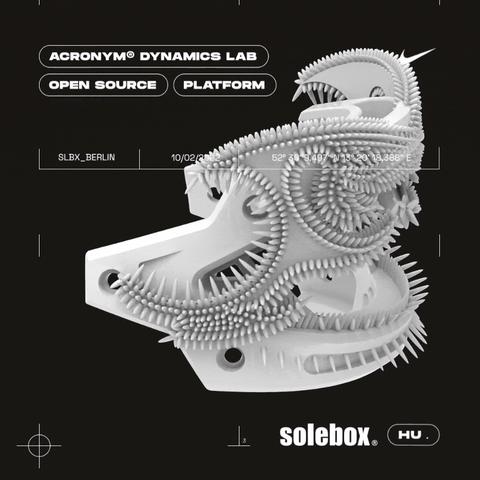 元素方尖公主骸骨藏匿秘境，探秘坐标攻略大揭秘