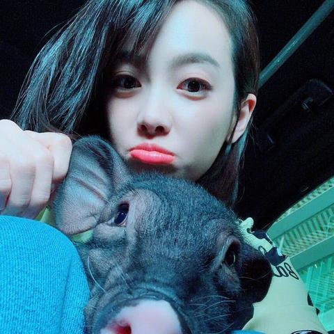 元素方尖无兔子攻略：破解技巧大揭秘