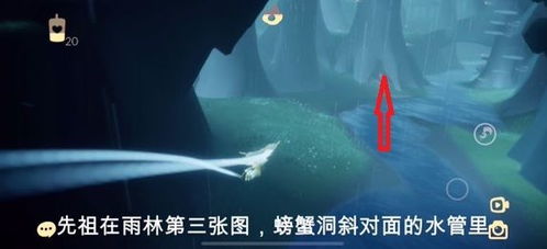 光遇长裤爱心获取攻略，揭秘先祖神秘位置！