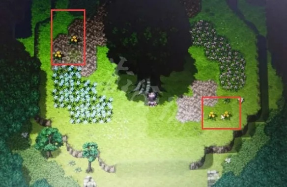 大千世界跌打草获取攻略:独家秘籍+购买渠道揭秘 大千世界跌打草获取攻略:独家秘籍+购买渠道揭秘