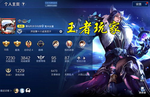 上古王冠李白输出解析：深度揭秘全新战斗奥秘