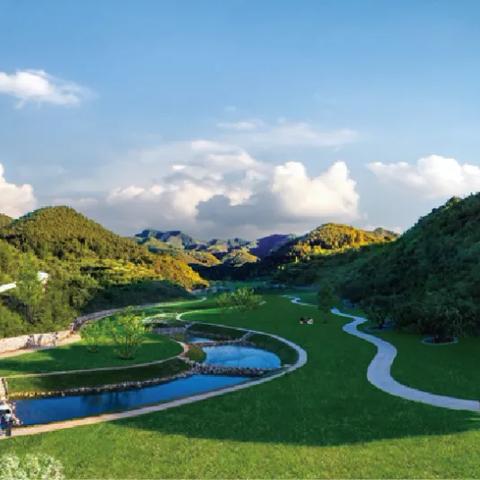 蟋蟀捕捉攻略：悠长假期必看高效捉虫技巧