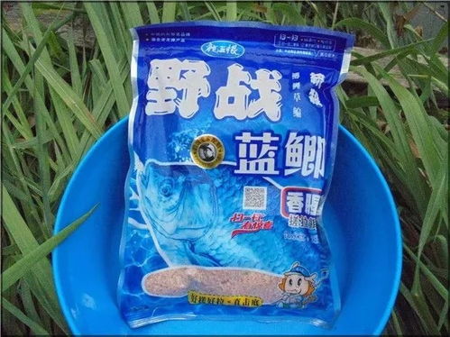 悠长假期鱼饵秘制攻略：独家制作方法大揭秘