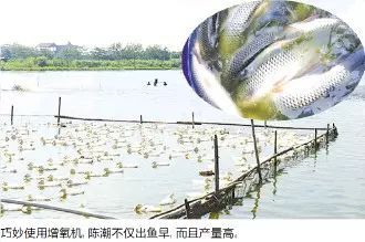 悠长假期养鱼场攻略:揭秘高效养鱼秘籍,轻松提升鱼儿产量 悠长假期养鱼场攻略:揭秘高效养鱼秘籍,轻松提升鱼儿产量