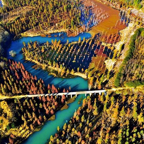 《一路瞭望台》通关秘籍：高效攻略助你轻松征服！