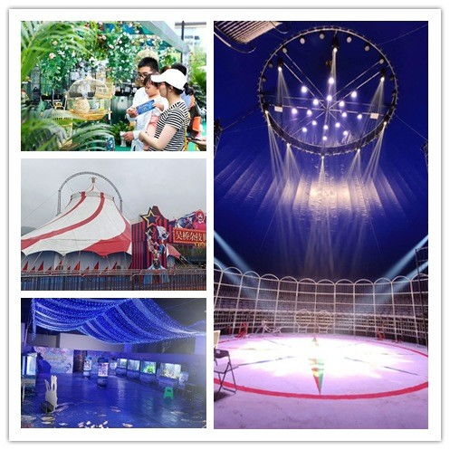 《一路马戏团》成就速成攻略:揭秘高效完成技巧,轻松解锁新境界 《一路马戏团》成就速成攻略:揭秘高效完成技巧,轻松解锁新境界