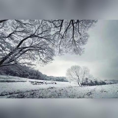 江湖杭城支线攻略:高效完成技巧揭秘,轻松解锁新境界 江湖杭城支线攻略:高效完成技巧揭秘,轻松解锁新境界