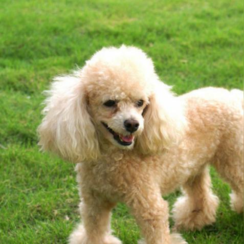 悠长假期体力快速恢复秘籍：高效回复技巧攻略大揭秘