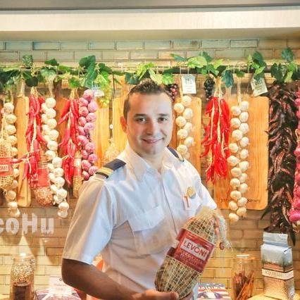 悠长假期宠物好感度提升攻略：环境值影响解析，解锁好感度新技巧