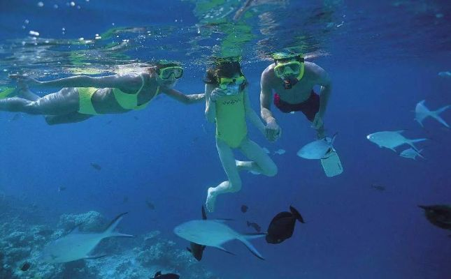 悠长假期潜水攻略：掌握浮潜技巧，畅游海底世界秘籍