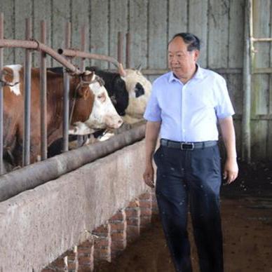 《学习使我妈快乐》23关攻略：轻松通关秘籍，解锁快乐新境界