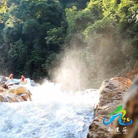 十大精选耐玩成人游戏盘点：揭秘最佳游戏体验攻略