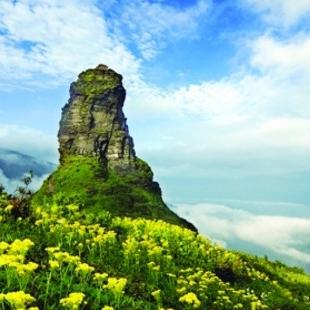 自然游戏下载必备！揭秘热门自然游戏排行TOP10