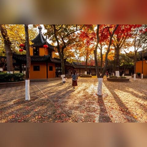 江南百景图苏州40井布局攻略：揭秘高效摆放技巧