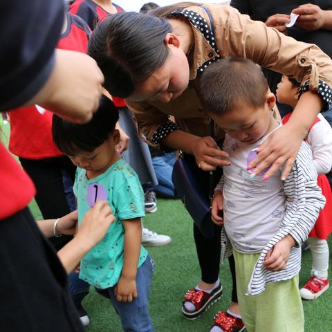 森林舞会手机版攻略：揭秘电玩刷分技巧，轻松提升分数新方法