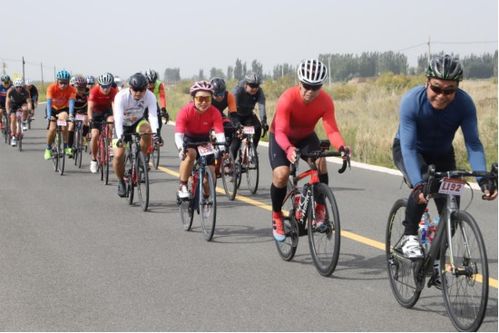 2024年度自行车游戏盘点：揭秘热门排行，畅玩速度与激情