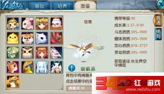 十大经典耐玩DBG游戏盘点，揭秘排行榜前十热门推荐