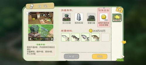 小森生活体力突破攻略:无限体力玩法揭秘,轻松畅玩无忧 小森生活体力突破攻略:无限体力玩法揭秘,轻松畅玩无忧