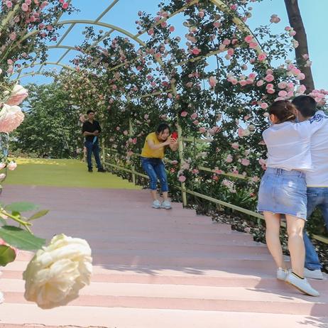 十大热门爱情游戏盘点：必玩精选，浪漫体验不容错过