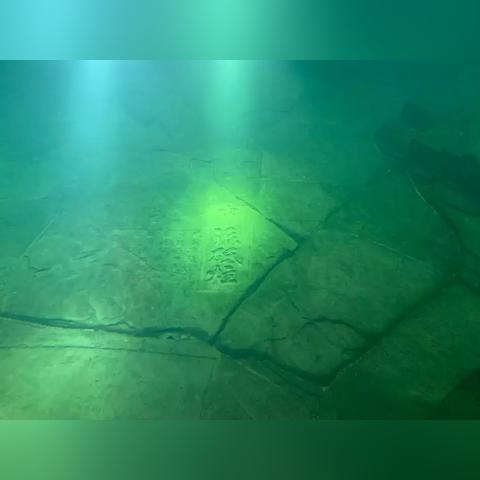 水底游戏盘点：人气爆棚的精选之作，揭秘最佳水下冒险体验