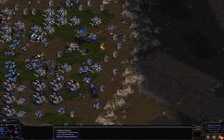 热门手速游戏盘点:揭秘最受欢迎的指尖竞技排行 热门手速游戏盘点:揭秘最受欢迎的指尖竞技排行