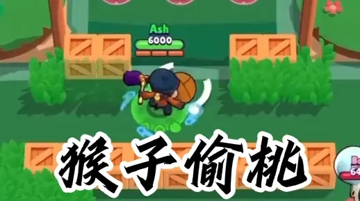 破解奇招!桃子大招反制秘籍,轻松制胜攻略大揭秘 破解奇招!桃子大招反制秘籍,轻松制胜攻略大揭秘