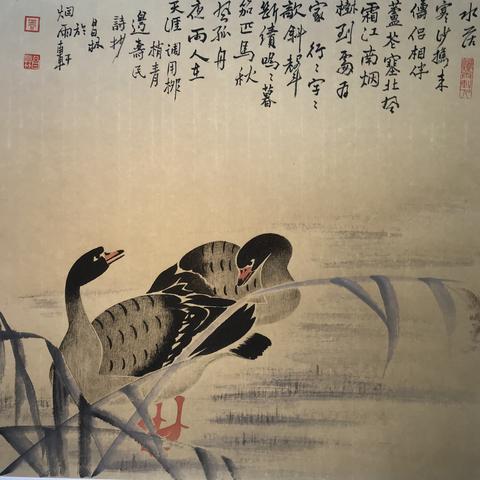 烟雨江湖新手攻略：天赋搭配与最佳伙伴选择技巧揭秘