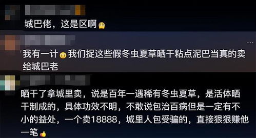 冬虫夏草飨灵配音解析：深度揭秘属性攻略秘籍
