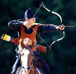 热门射箭游戏盘点:揭秘十大最受欢迎的弓箭竞技体验 热门射箭游戏盘点:揭秘十大最受欢迎的弓箭竞技体验