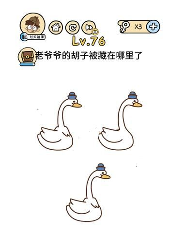 脑洞大神第13关攻略揭秘：天鹅藏匿技巧，轻松通关秘籍！