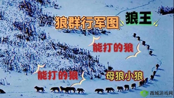 全球行动反抗军草原狼属性解析：深度图鉴攻略揭秘